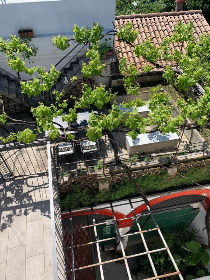 Il Palazzetto - La Terrazza Di Elia Apartment *